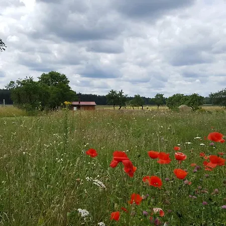 Holiday home Uckermark Pur *
