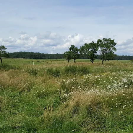 Uckermark Pur *
